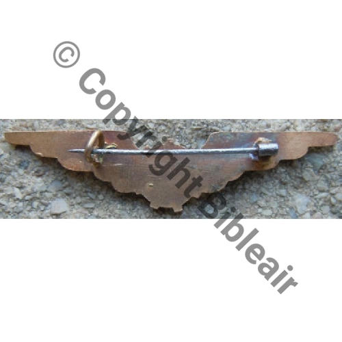 NH  FRANCE CIE AIR 2e du 7eREGIMENT GENIE  SM Eping bascule Dos lisse irreg Src.lapetitebrocdechacha 880EurInv 